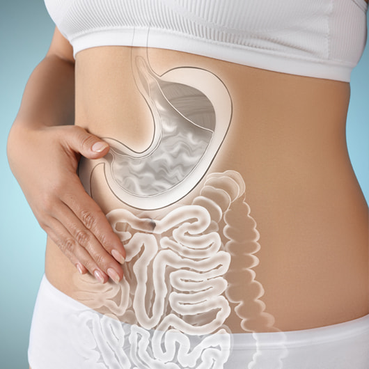 Cómo Mejorar la Microbiota Intestinal Durante la Menopausia